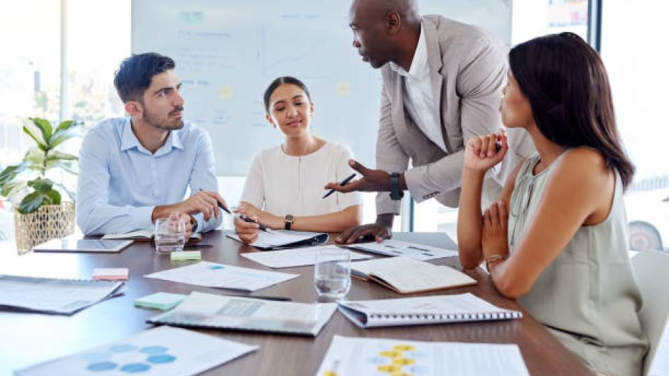 The Role of Project Management in Enhancing Public Service Efficiency